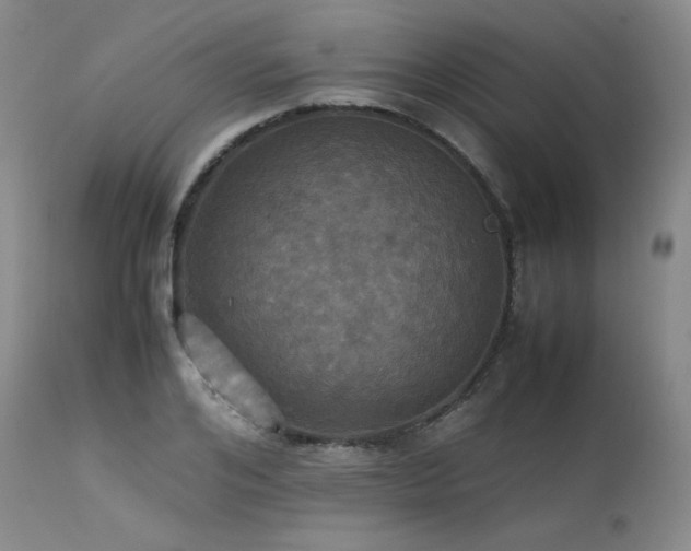 X0000114110984200910051509