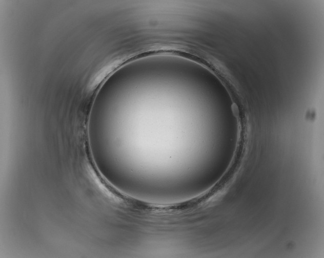 X0000114110985200910051509