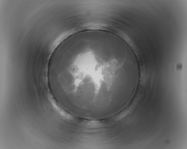 X0000114110986200910051509