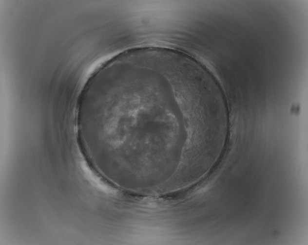 X0000114110987200910051509