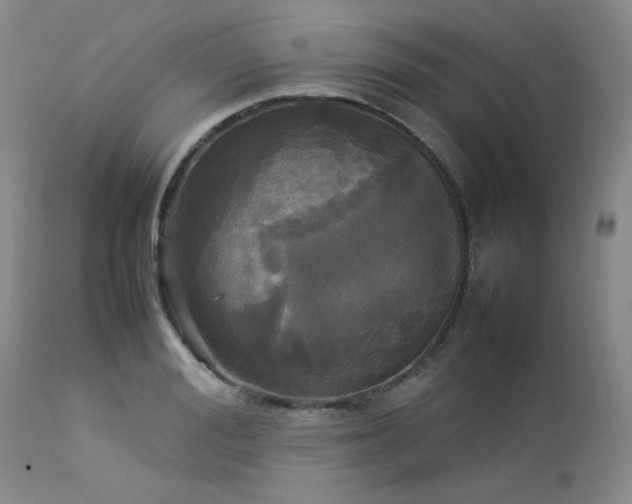 X0000114110988200910051509