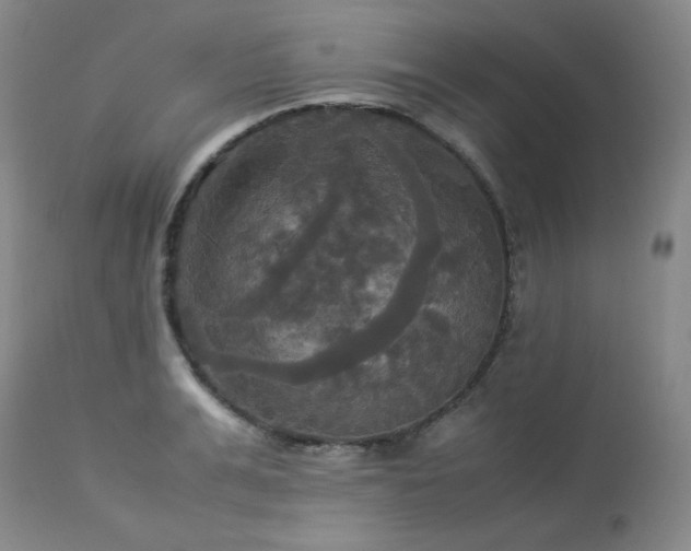 X0000114110991200910051509