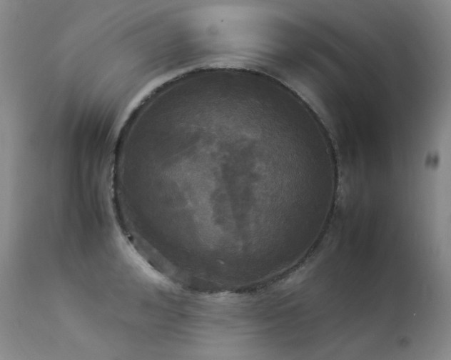 X0000114110992200910051509