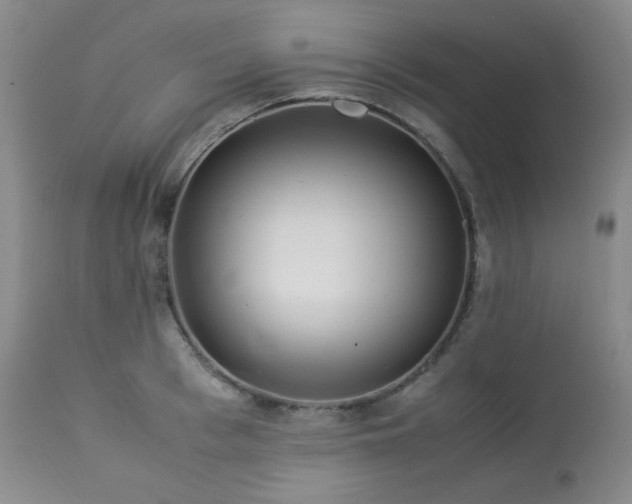 X0000114110993200910051509
