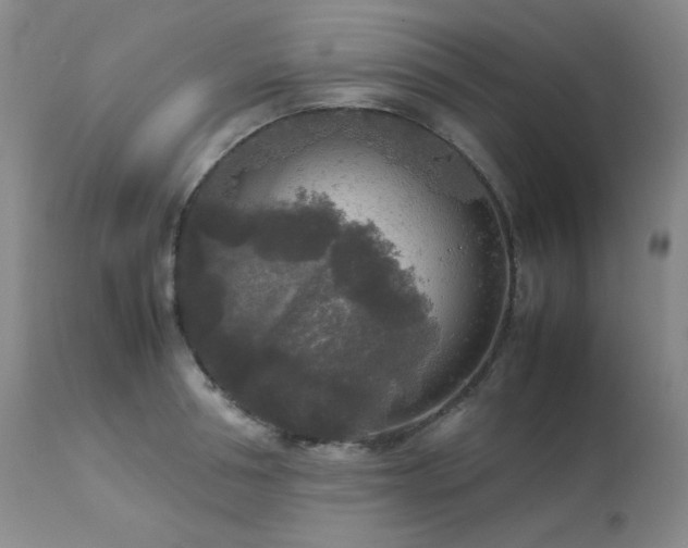 X0000114110994200910051509