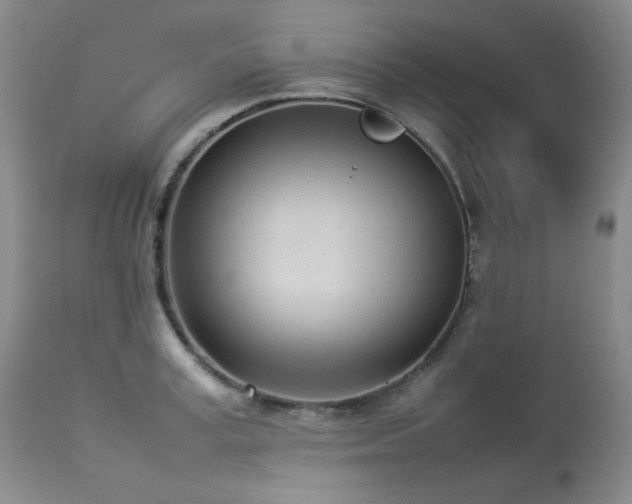 X0000114110995200910051509