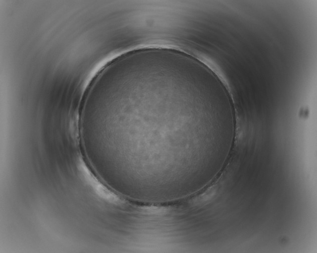 X0000114110996200910051509