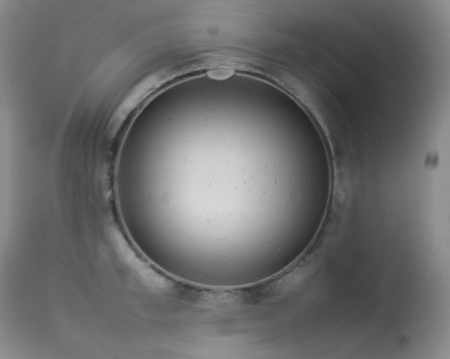 X0000114110997200910051509