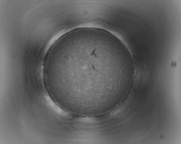 X0000114110998200910051509