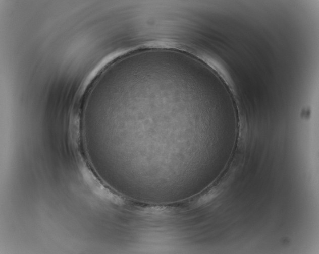 X0000114111000200910051509