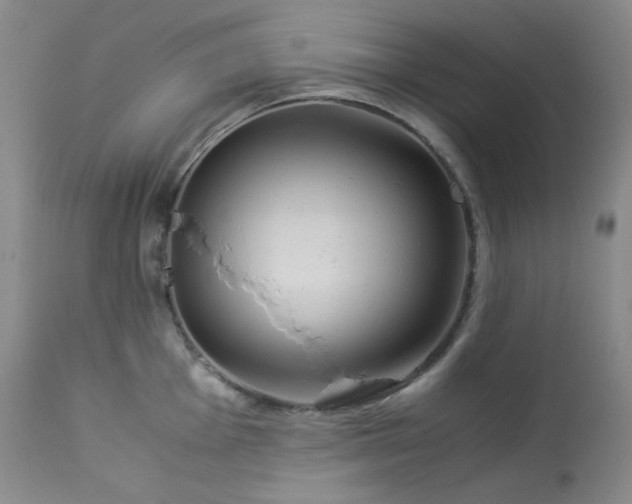 X0000114111001200910051509