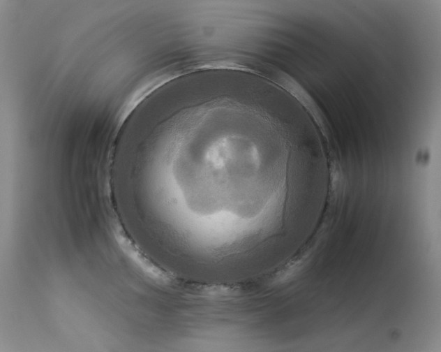 X0000114111002200910051509