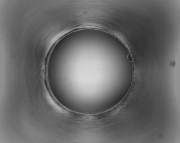 X0000114111003200910051509