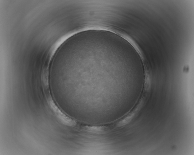 X0000114111004200910051509