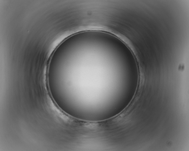 X0000114111006200910051509