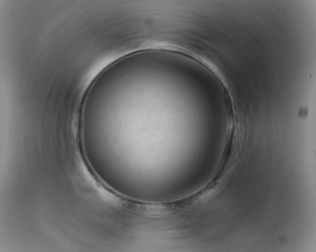 X0000114111007200910051509