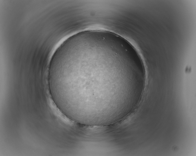 X0000114111008200910051509
