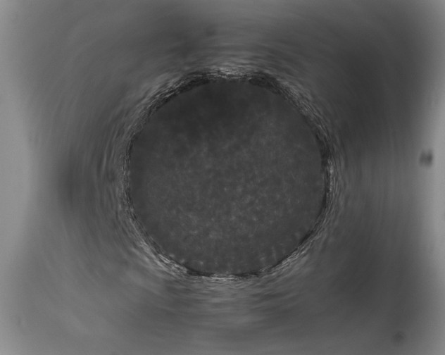 X0000114111009200910051508
