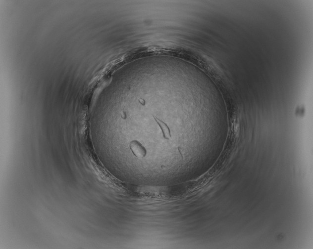 X0000114111012200910051508