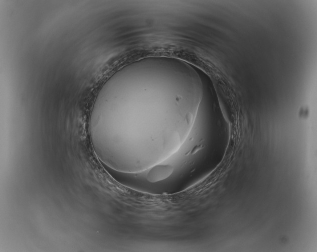 X0000114111013200910051508