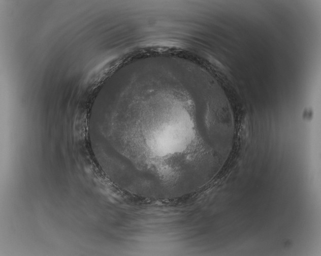 X0000114111014200910051508