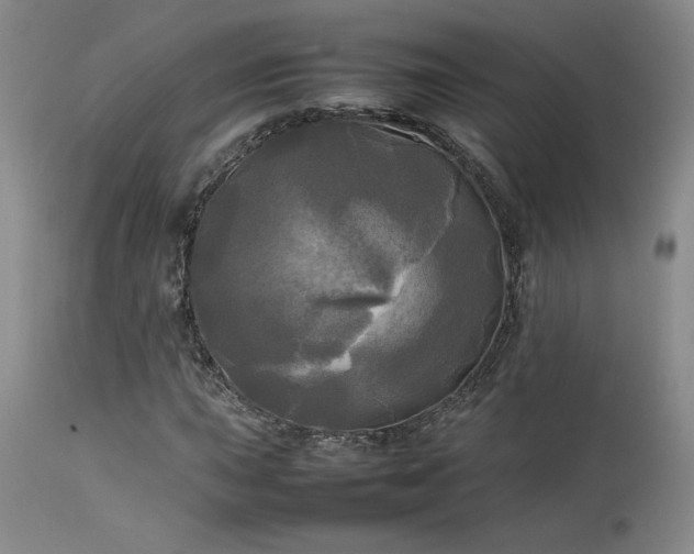 X0000114111015200910051508
