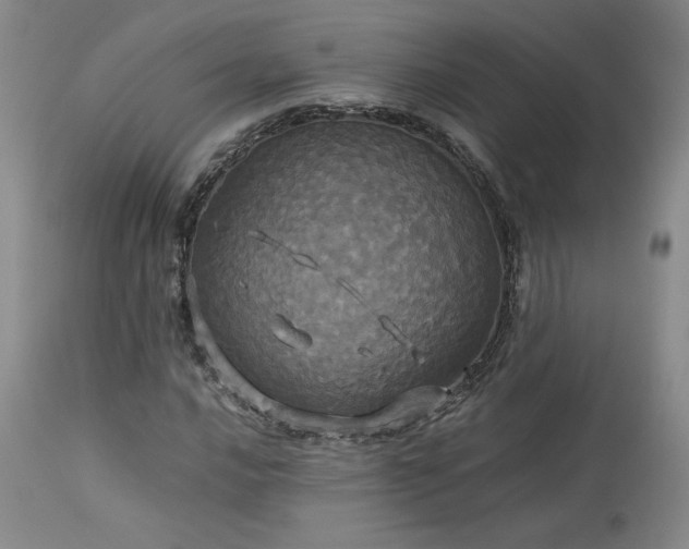 X0000114111016200910051508
