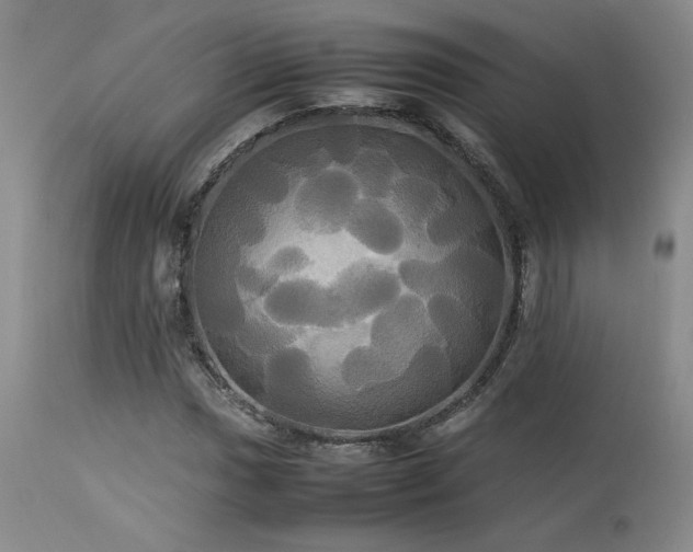 X0000114111017200910051508