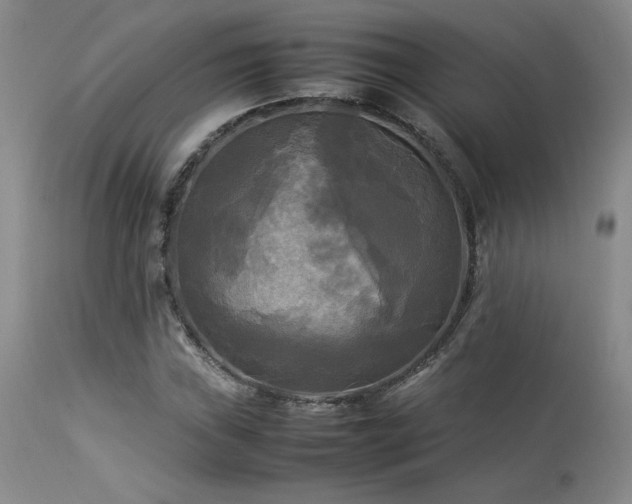 X0000114111019200910051508