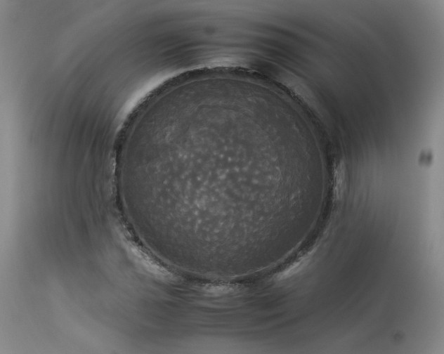 X0000114111021200910051508