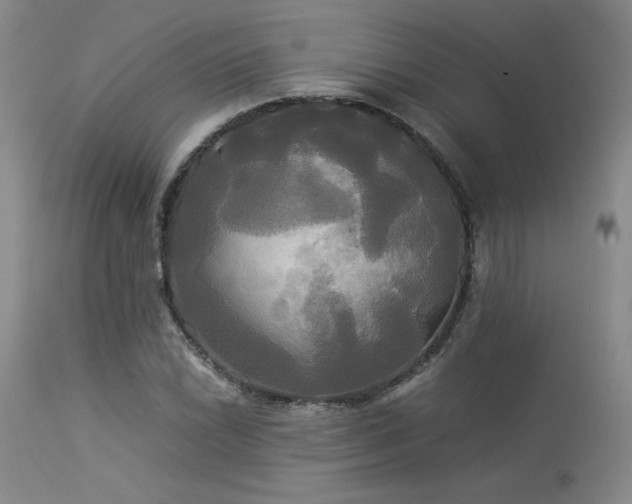 X0000114111022200910051508
