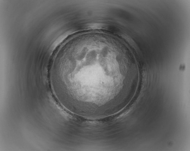 X0000114111023200910051508