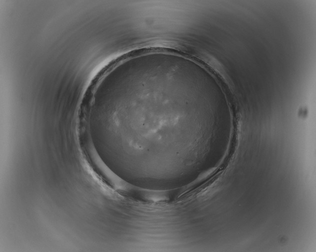 X0000114111024200910051508
