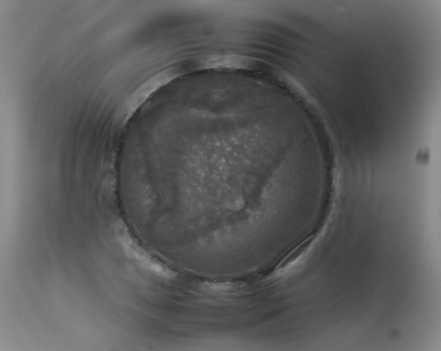X0000114111025200910051508