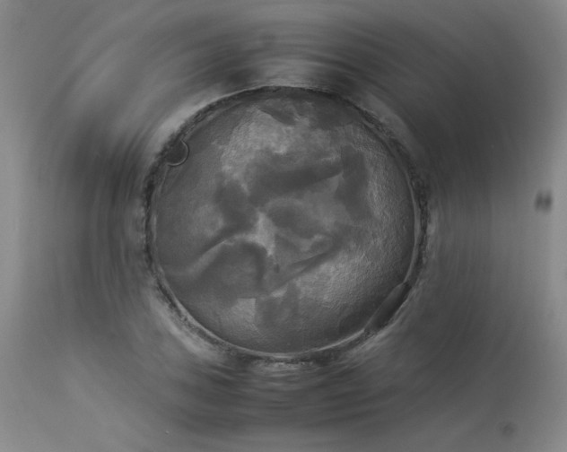 X0000114111027200910051508