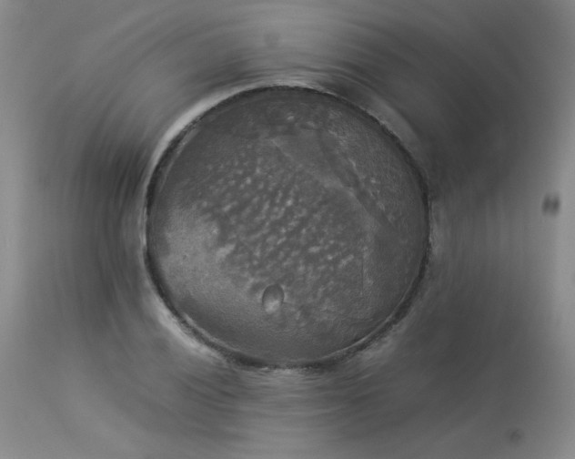 X0000114111028200910051508