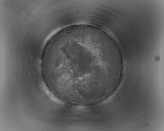 X0000114111029200910051508