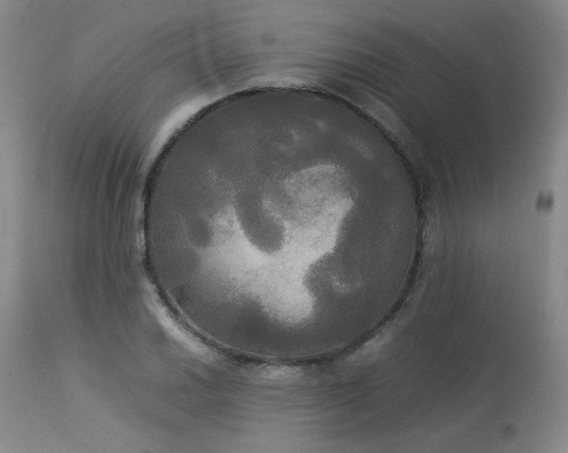 X0000114111030200910051508
