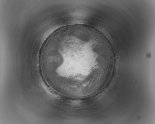 X0000114111031200910051508