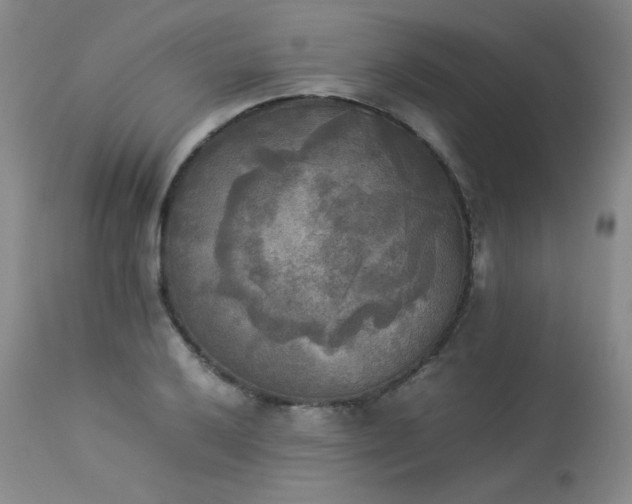 X0000114111032200910051508