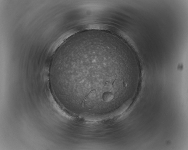 X0000114111033200910051508