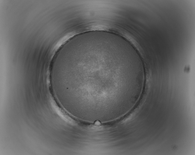 X0000114111034200910051508