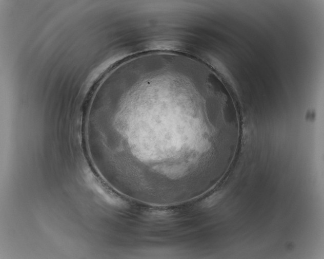 X0000114111035200910051508