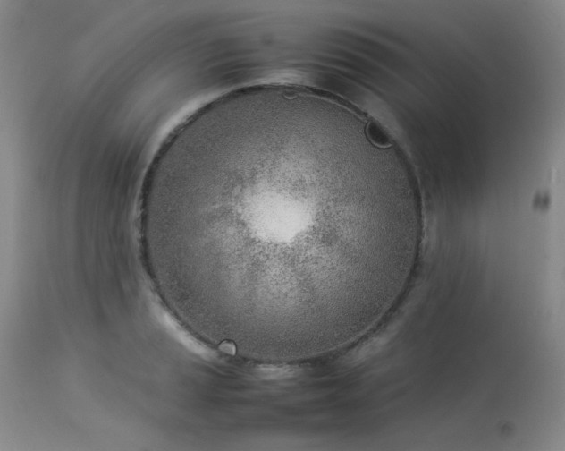 X0000114111037200910051508