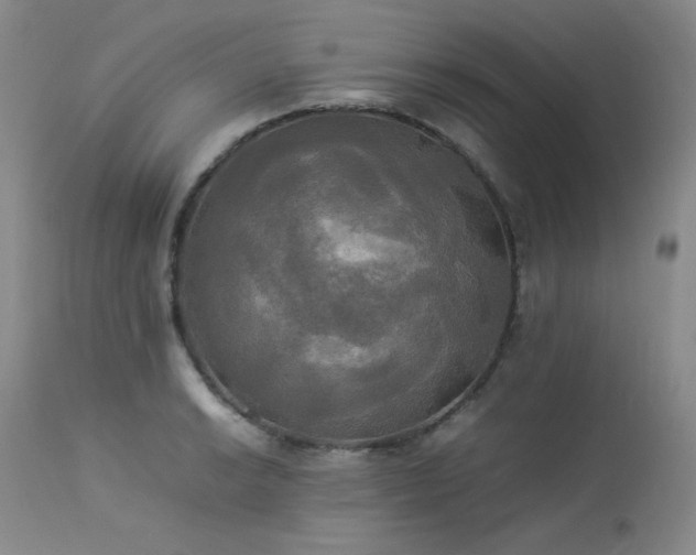 X0000114111038200910051508