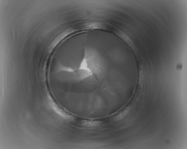 X0000114111039200910051508