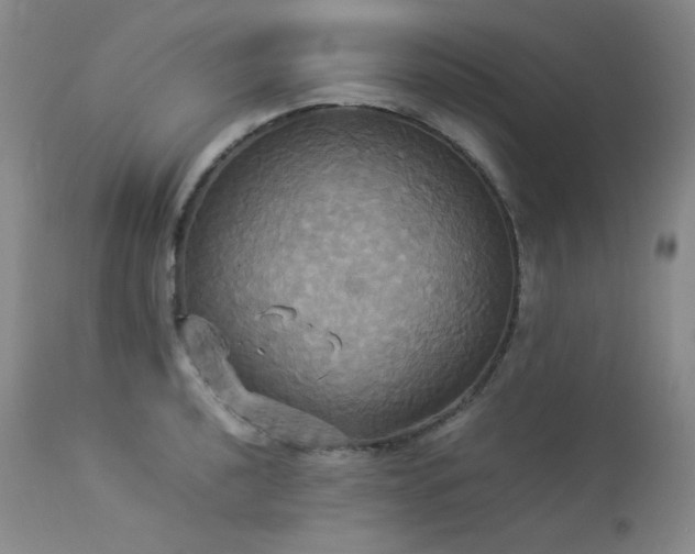 X0000114111040200910051508