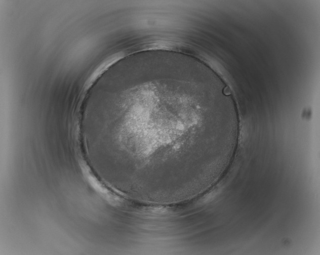 X0000114111042200910051508