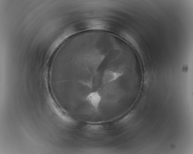 X0000114111043200910051508