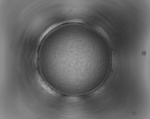 X0000114111044200910051508
